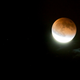 Image for article titled 34 Amazing Photos Of The Super Blood Moon